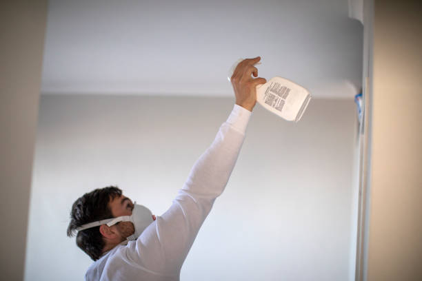 Best Mold Remediation for Specific Building Types in Newport News, VA