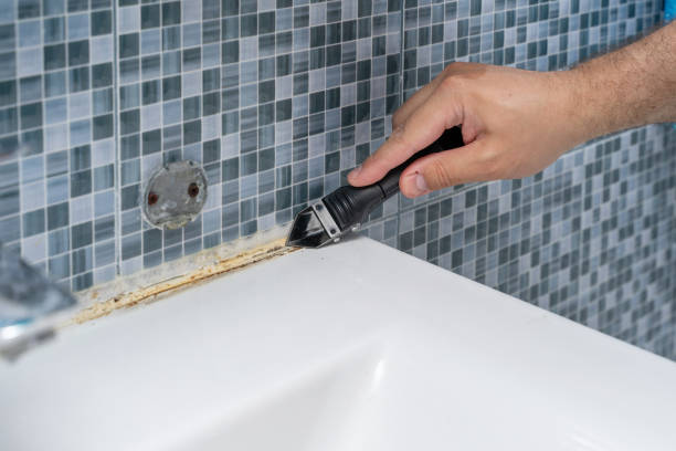 Best Residential Mold Remediation in Newport News, VA