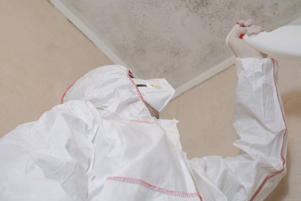Best DIY Mold Remediation Support Services in Newport News, VA