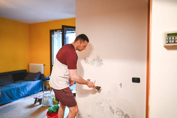  Newport News, VA Mold Removal Pros